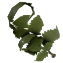 ItemFern.png