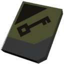 AccessCardKhaki.png