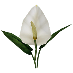 Peace Lilly.png